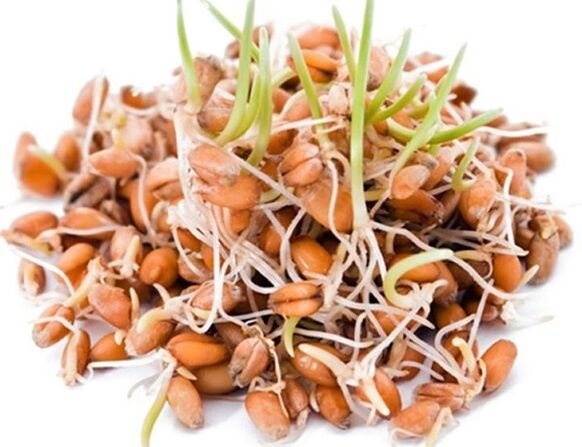 Clean Forte 含有发芽的小麦、燕麦和玉米粒